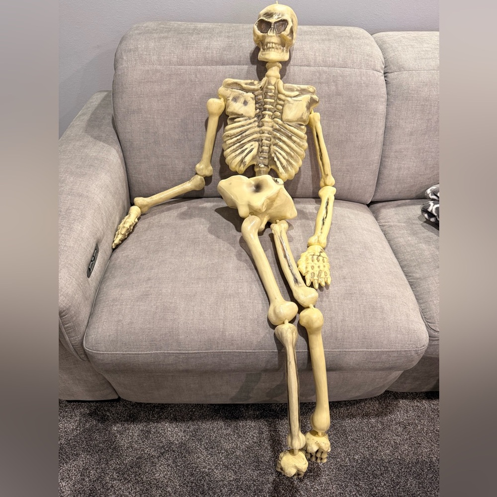 Lifelike Skeleton Halloween Decoration
